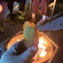 스테이 원평호 이미지