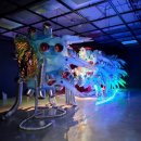 청주시립대청호미술관 | 청주시립대청호미술관 기획전, 플라스틱 다큐멘터리