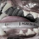 신제주동물병원 이미지