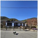 느린 오후가 있는 집 이미지