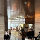 GRAND가든 | [중국 심천/선전] 그랜드 하얏트 선전 | 그랜드 하얏트 심천 (Grand Hyatt Shenzhen) 숙박 후기