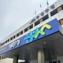 웰리드영어교습소