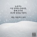 눈송이... 이미지