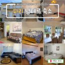 킹왕짱 마켓 | [프랑스여행] 6일간 머물렀던 파리 근교 낭테르 에어비엔비 숙소 리얼 후기