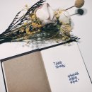김앤박차이의원