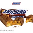 노바사 이미지