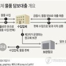 '영혼만 빼고…' 무엇이든 담보로 잡는 대출시장 이미지