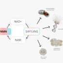 좋은가정의학과의원 이미지