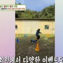 버프독 | 영통 망포 매탄 강아지 유치원 버프독 추천이유