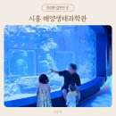 색연필로 그리는 진천의 생태 | 시흥 거북섬 해양생태과학관 다녀왔어요 - 좋았던 점과 아쉬운 점 정리