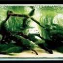 물속풍경 이미지