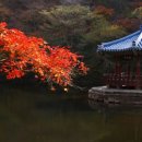 HK 행정사 사무소 네이버블로그