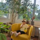 틸러 | 강화도 블루베리 체험 : 틸러 내돈내산 후기