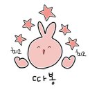 몽글펫살롱 이미지