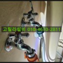 작은등샘 이미지