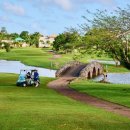 비고리조트 14 이미지