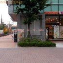 웰츠약국 이미지