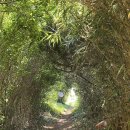 공수마을(산) 이미지