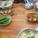 다전손칼국수 Daum카페