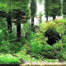 물속풍경 이미지