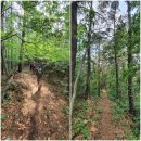 대청호오백리길 백골산성낭만길 이미지