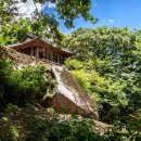 순천-25호 이미지