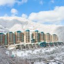 소노펠리체비발디파크 이미지