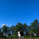 지에스25노들제일점 | 노들섬 공사 일정 변경 피크닉 라면 위치