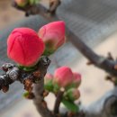 가족건강경락마사지 이미지