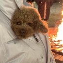 포지 피티 스튜디오 이미지