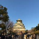 26470-01-21-310 | 오사카 워홀 | D+18~19 | 나라 당일치기 여행 | 관광객 모드 끝