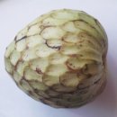 체리모야 cherimoya 이미지