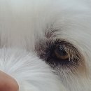 주식회사 부령 이미지