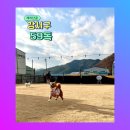 강서구-59 이미지
