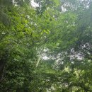 청계산 산행(8월 29일 펄이대장 주관) 이미지