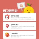 (뉴)챔피언 카 서비스 | 인천공항제2여객터미널렌트카 망고렌트에서 디올뉴팰리세이드 대여후기!🍂🍁