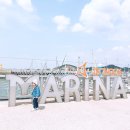 [전곡항 요트투어] 낚시도 가능한 드림요트코리아 추천 / 국내가족여행지❤️