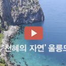 해맑은농장 이미지