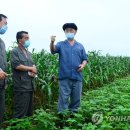 신월농장 이미지