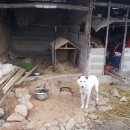 명곡동856 이미지