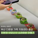 다문화센터협동조합 | 부산 진구 다문화 가족센터 기관 단체 출강 친환경 소라화분 만들기