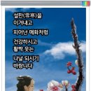 행복한아침 이미지
