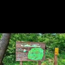 예원숲어린이집 이미지