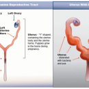 닥터정 동물병원 이미지