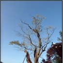 금광여관 이미지