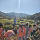 수월초등학교 병설유치원 이미지