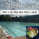 [보홀]물친자의 나 홀로 보홀 2주살이 9일차 보홀대학교 수영장 이용후기 ICM몰 망이나살