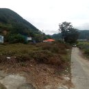 충남목장 이미지