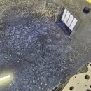 반짝반짝 레진아트2 이미지