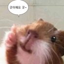 241207-241209 춘천여행